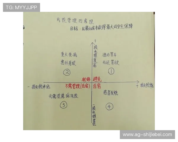 如何进行世界杯比分投注，实用策略与风险控制全解析