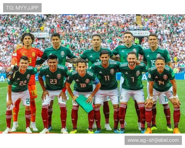 墨西哥世界杯排名前十球队详细介绍与排名依据